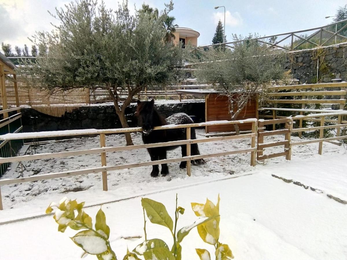 Aurora Dell'Etna Bed and Breakfast Zafferana Etnea Εξωτερικό φωτογραφία